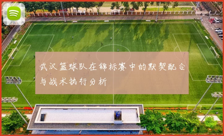 武汉篮球队在锦标赛中的默契配合与战术执行分析