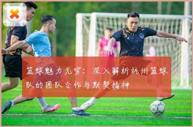 篮球魅力无穷：深入解析杭州篮球队的团队合作与默契精神
