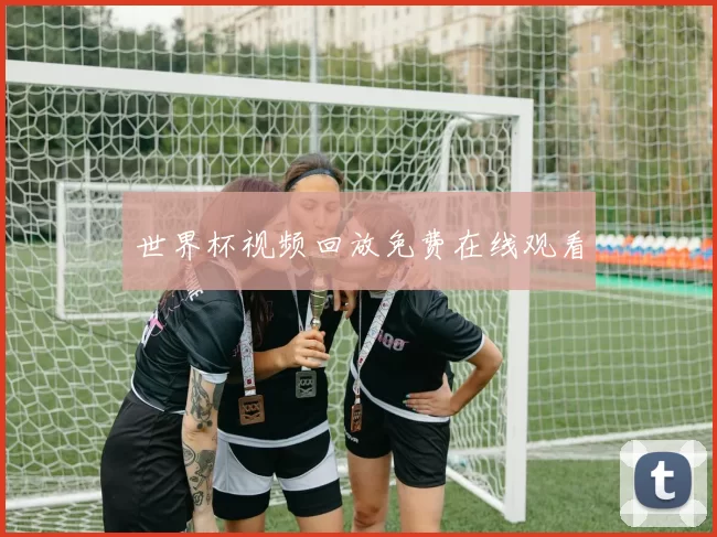 世界杯视频回放免费在线观看