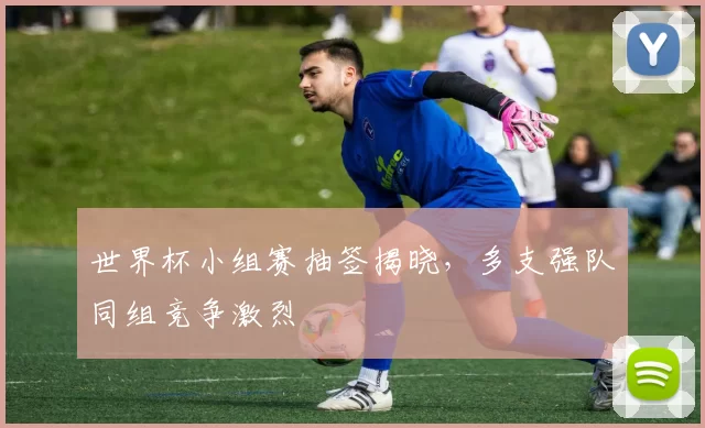 世界杯小组赛抽签揭晓，多支强队同组竞争激烈