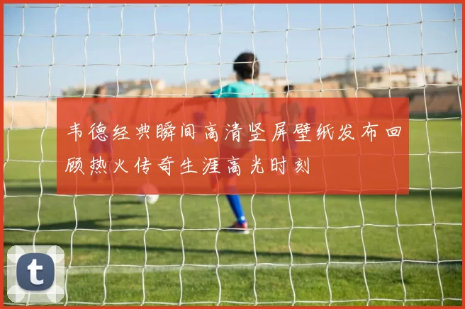 韦德经典瞬间高清竖屏壁纸发布回顾热火传奇生涯高光时刻