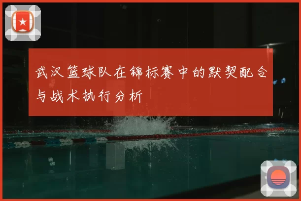 武汉篮球队在锦标赛中的默契配合与战术执行分析