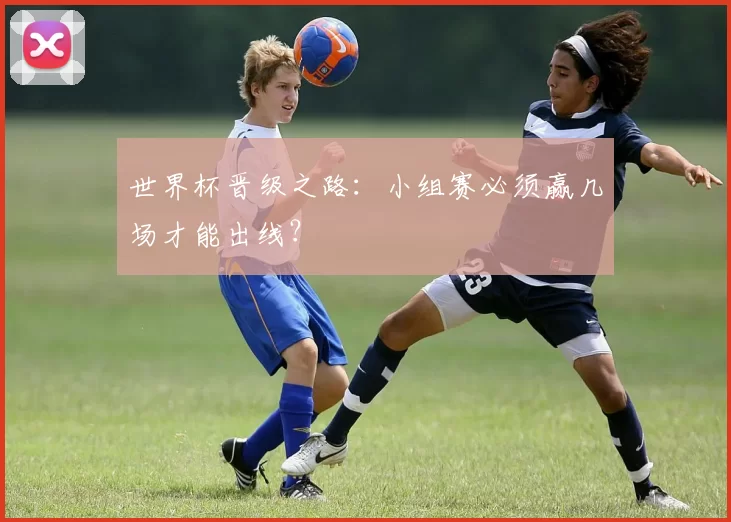 世界杯晋级之路:小组赛必须赢几场才能出线?