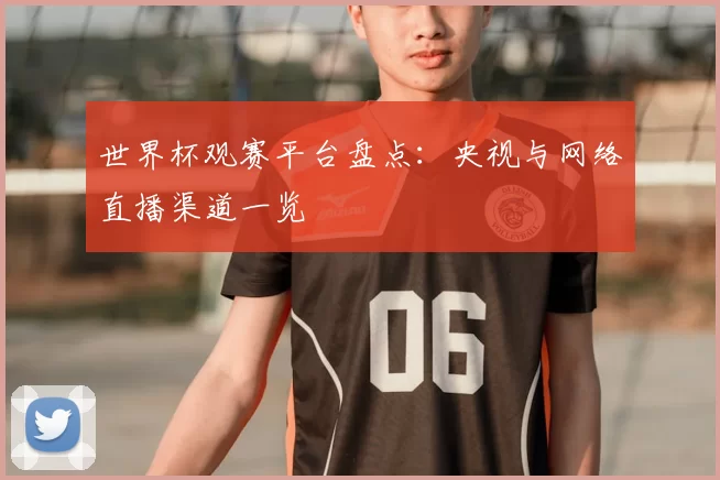 世界杯观赛平台盘点：央视与网络直播渠道一览