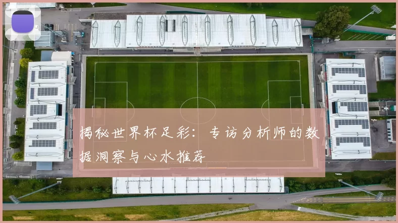 揭秘世界杯足彩：专访分析师的数据洞察与心水推荐