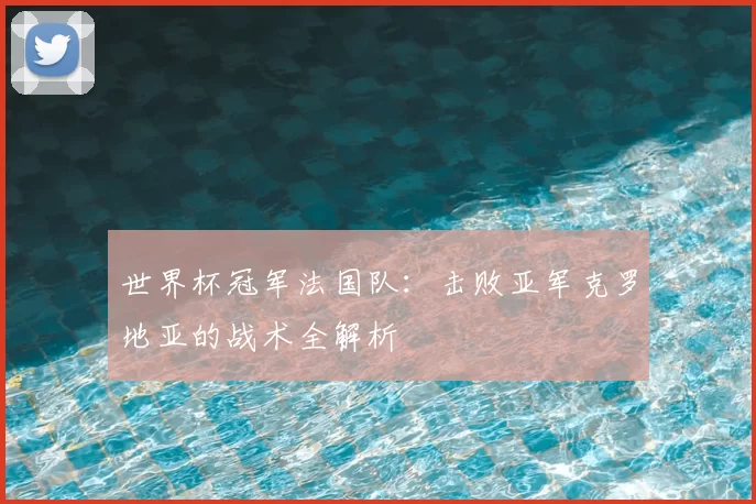 世界杯冠军法国队:击败亚军克罗地亚的战术全解析