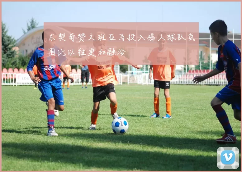东契奇赞文班亚马投入感人球队氛围比以往更加融洽