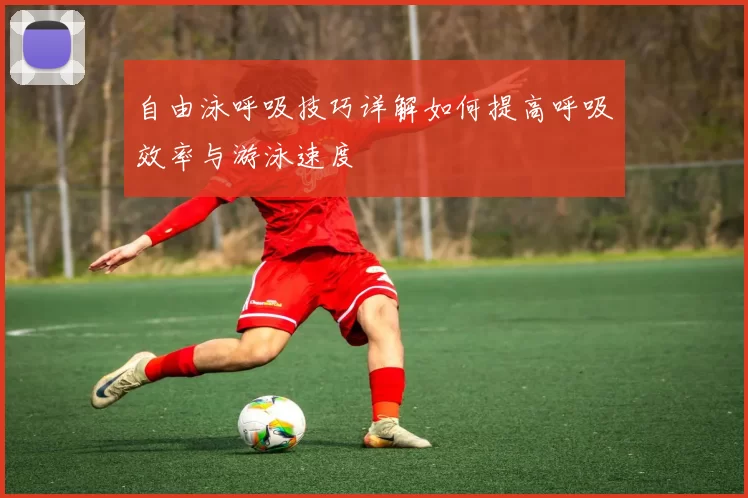 自由泳呼吸技巧详解如何提高呼吸效率与游泳速度