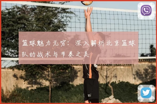 篮球魅力无穷：深入解析北京篮球队的战术与节奏之美