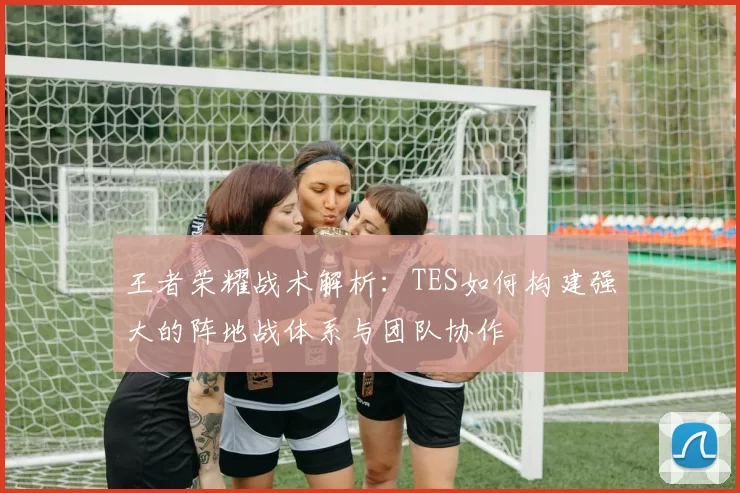 王者荣耀战术解析：TES如何构建强大的阵地战体系与团队协作