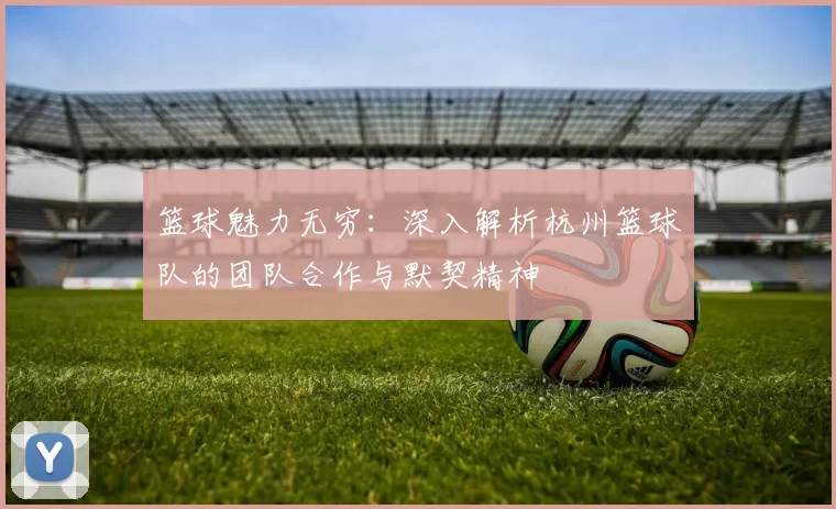 篮球魅力无穷：深入解析杭州篮球队的团队合作与默契精神